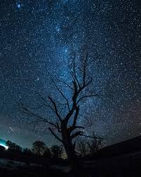 Telescopes for astrophotography 3 astrophotography
